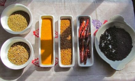 Hacer Su Propio Polvo de Curry