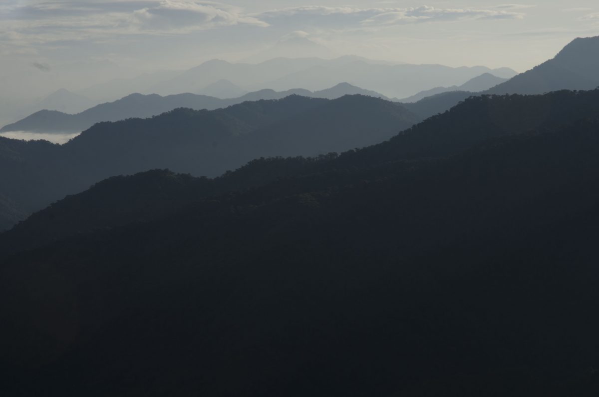 Los Andes o La Cordillera Andina vista desde la carretera de la Reserva Bellavista a la Estación de Investigación | ©Angela Drake Los Andes o La Cordillera Andina vista desde la carretera de la Reserva Bellavista a la Estación de Investigación | ©Angela Drake