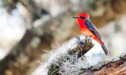 Experience The Dry Desert Near Quito