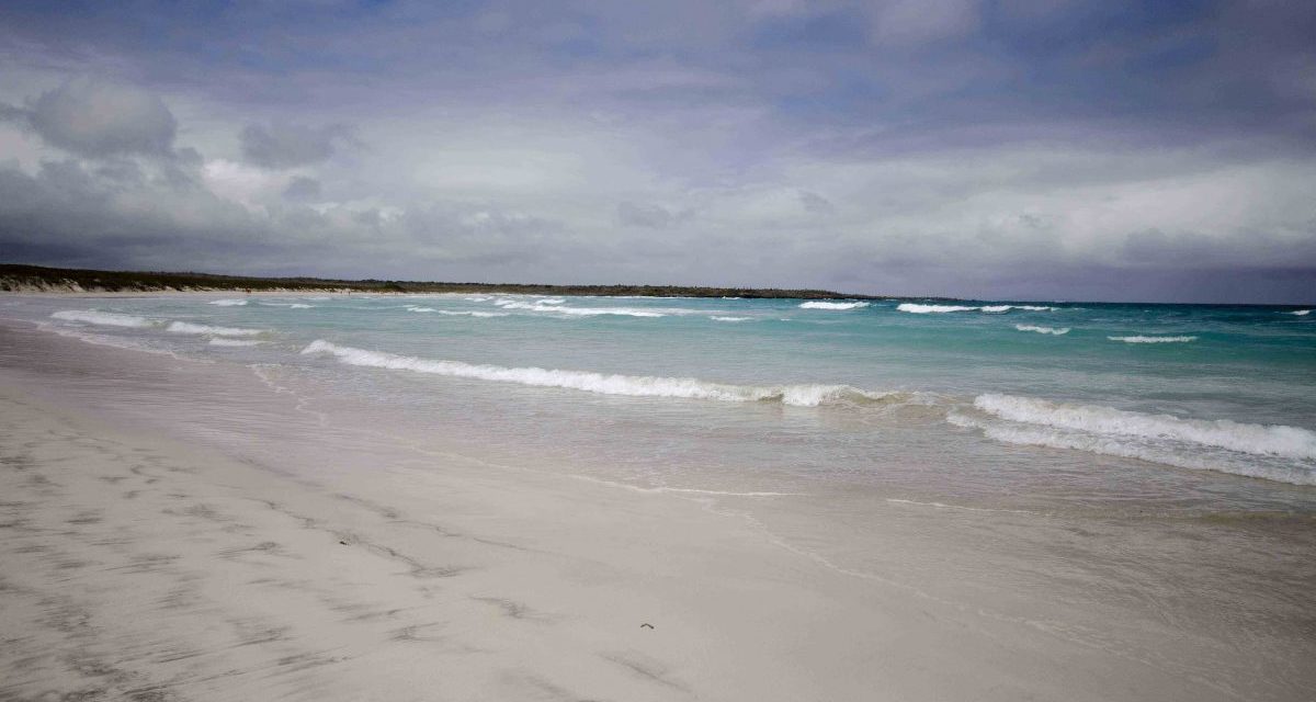 Hiking to Tortuga Bay in the Galapagos Islands
