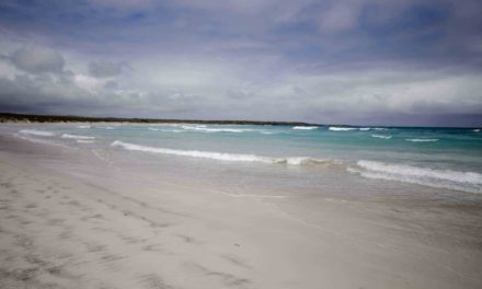 Hiking to Tortuga Bay in the Galapagos Islands
