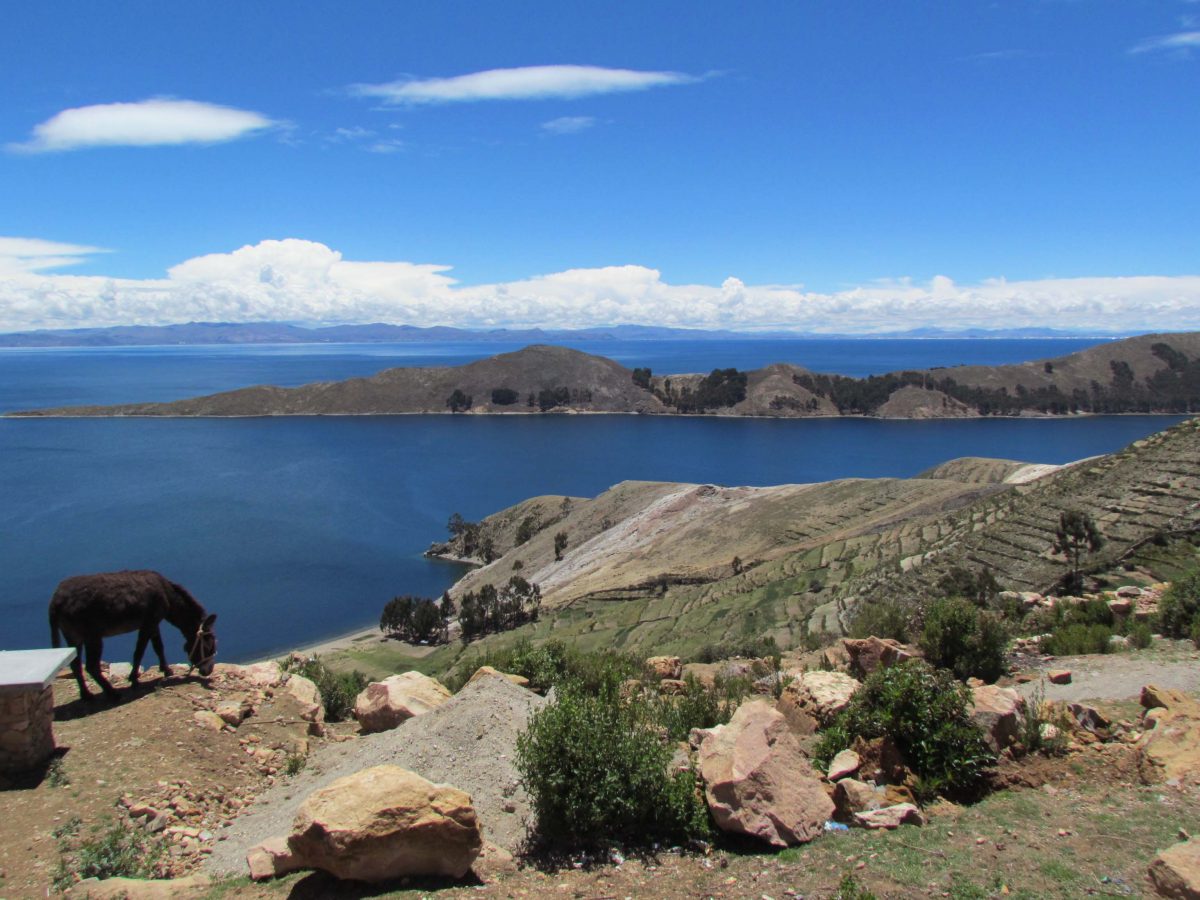 A Two Week Vacation – Peru and Bolivia