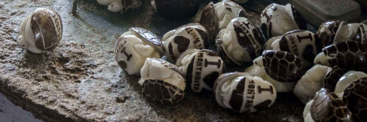 Tagua Artists of Dos Mangas