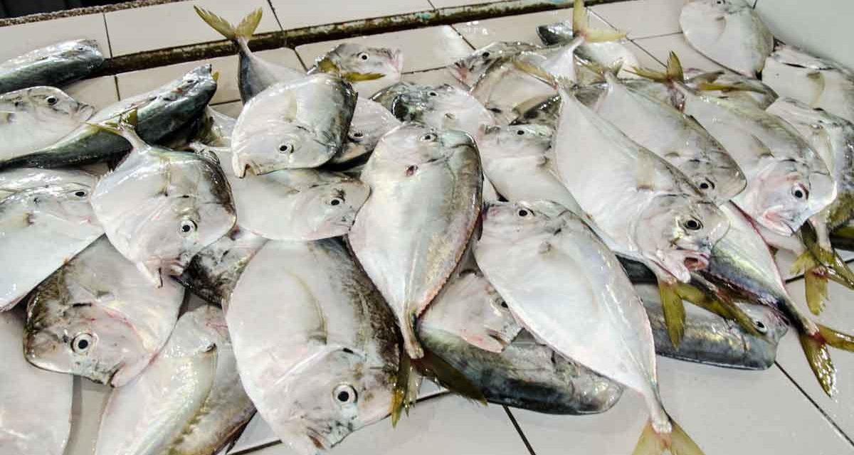 Morning Market, La Libertad