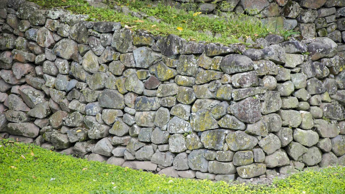 Detalle de una pared