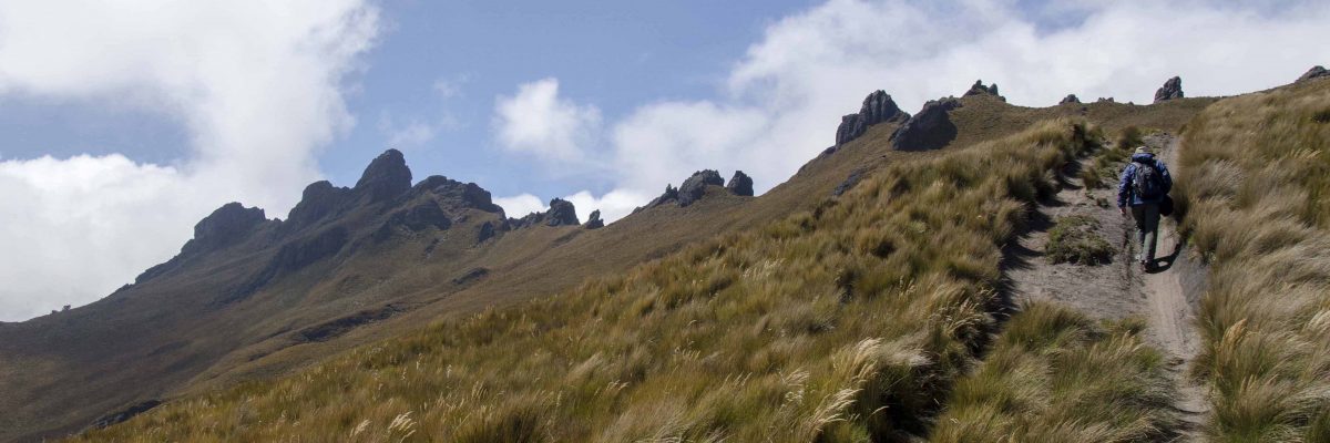 Hiking Cerro Puntas