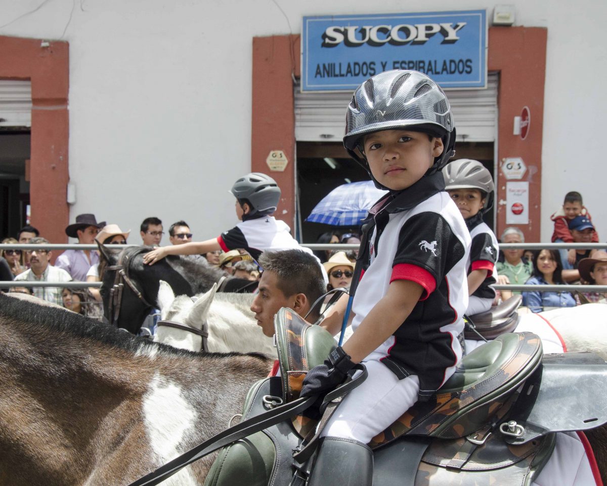 A young boy of about 5 years old a top a large horse