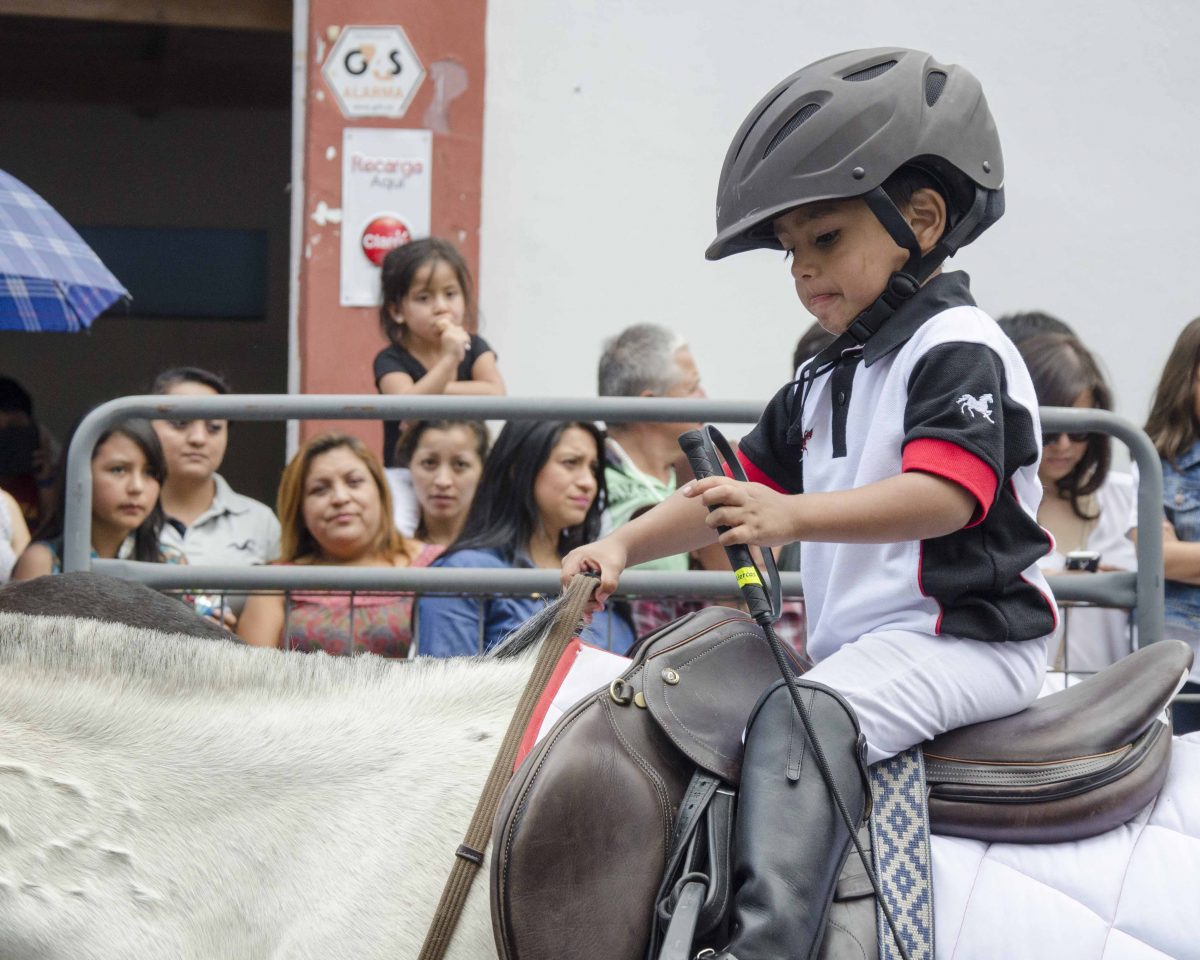 A young boy holds a riding crop
