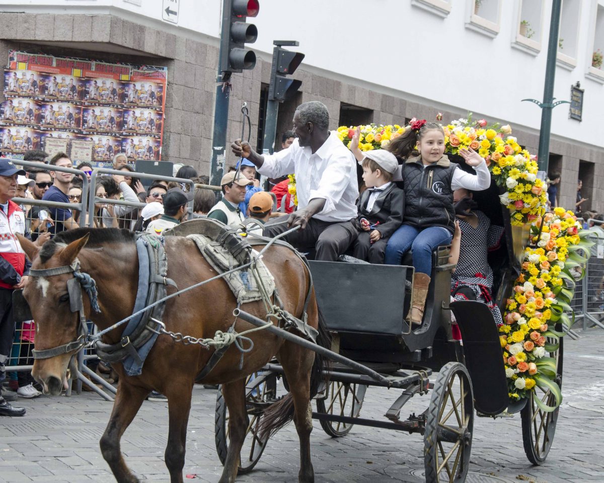 A carriage adorned with yellow flowers in the Caceria del Zorro parade