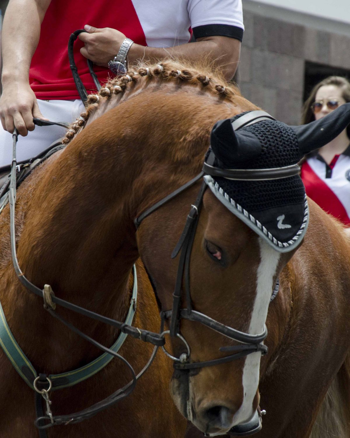 Roan horse with braided main and black leader cap with horns