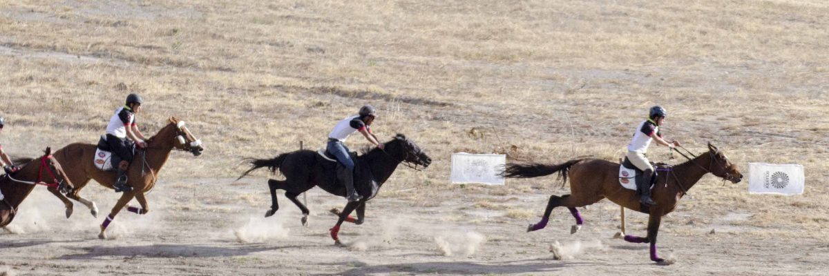 Cacería del Zorro