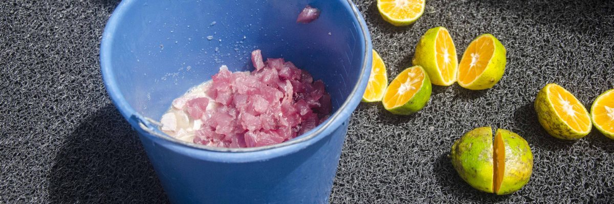 A Bucket of Ceviche