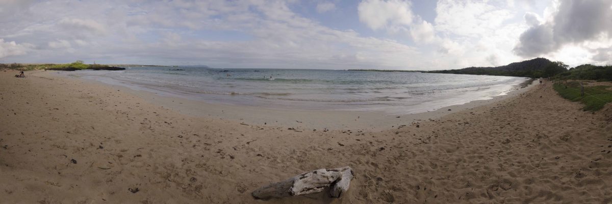 El Garrapatero, Isla Santa Cruz
