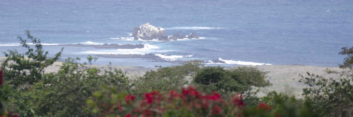 An Organic Farm on the Galapagos