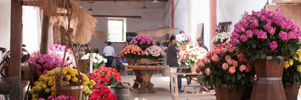 The Rose Hacienda