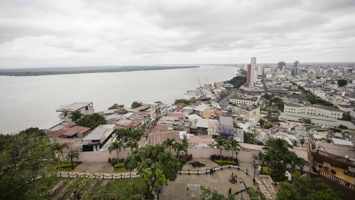 A lo largo del Río Guayas, Guayaquil, Ecuador | ©Ángela Drake