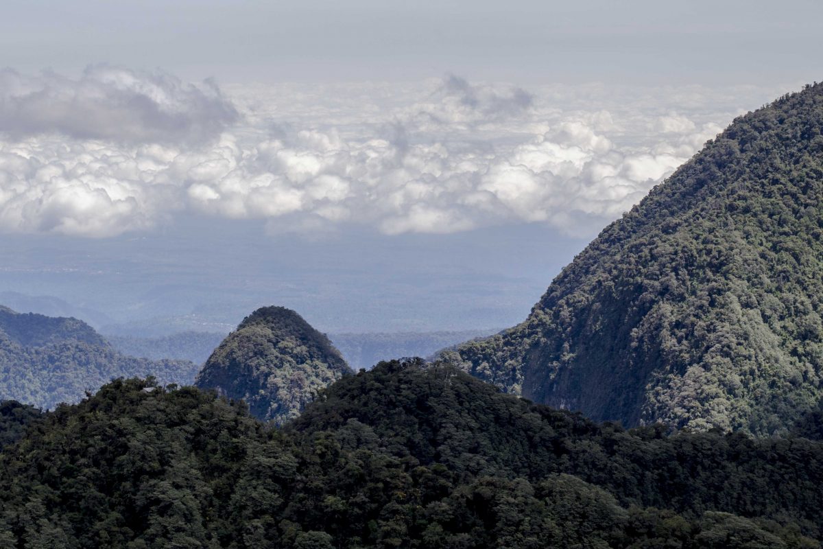 A Hop, Skip, and a Jump from Quito – Yanacocha Reserve