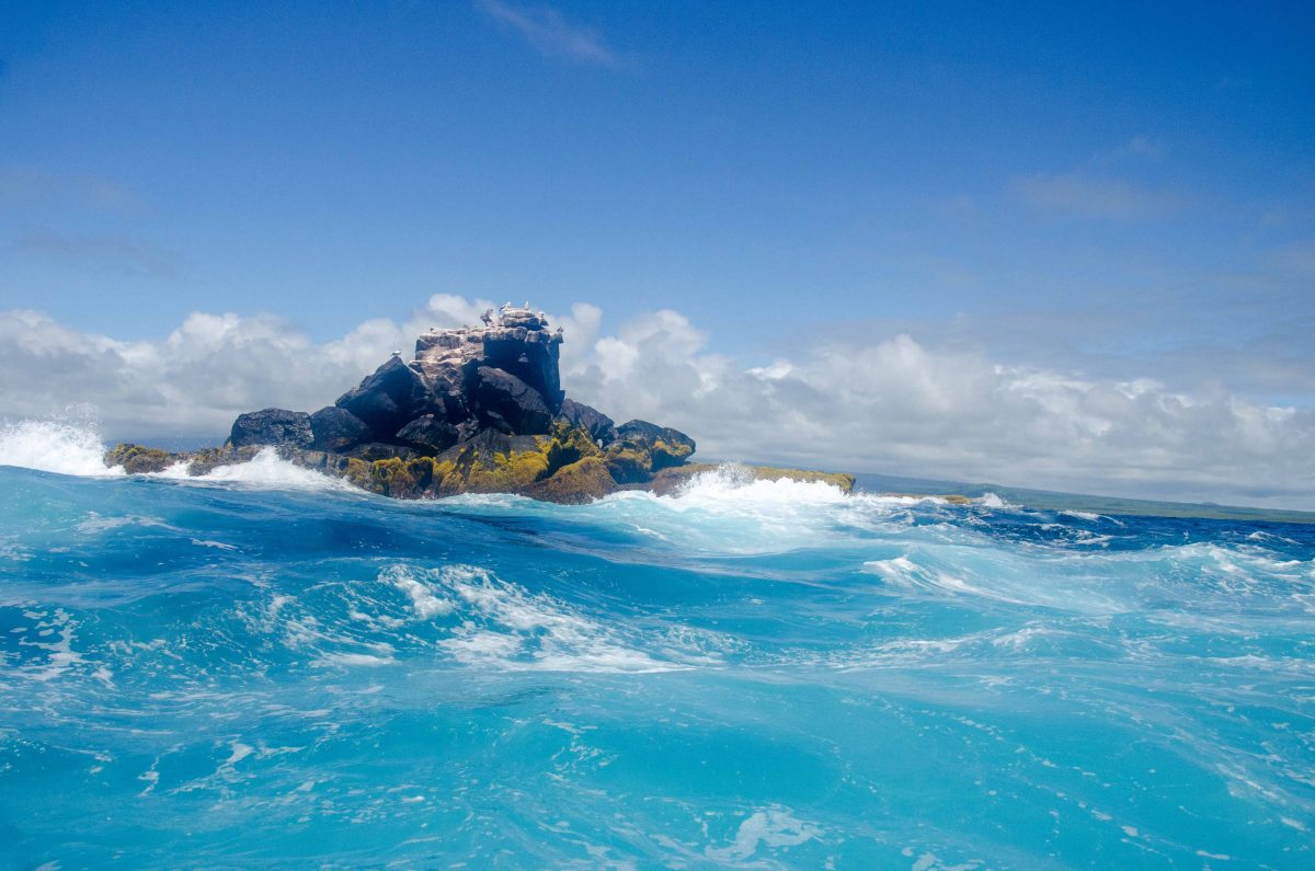 Best Photos from Isla Isabela, Galapagos Islands