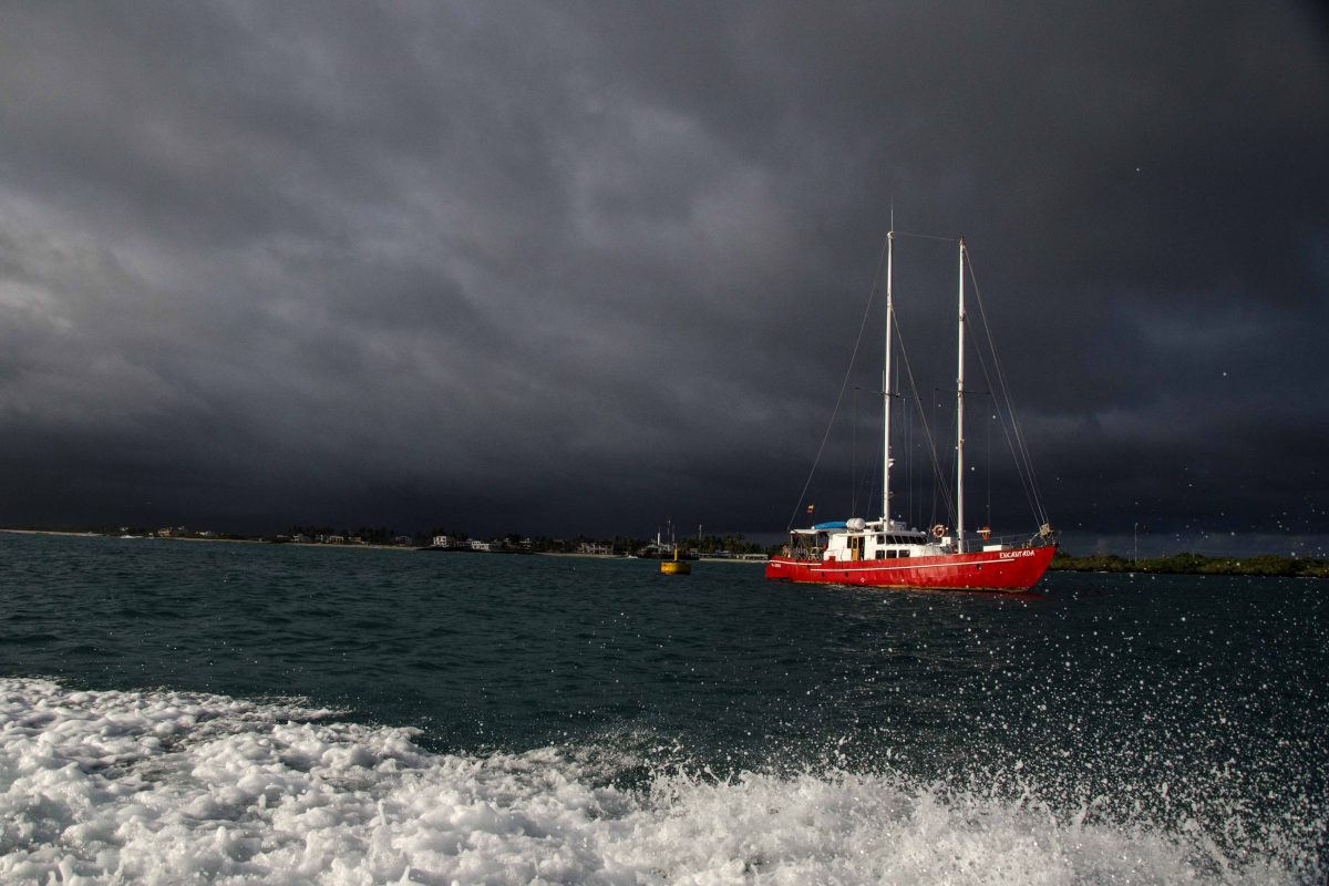 Do You Need Travel Insurance for Your Next Trip to South America?