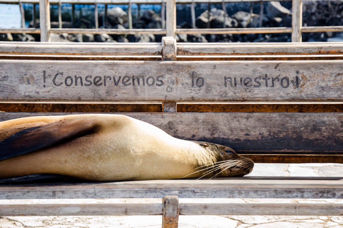 Great Photos of San Cristobal, The Galapagos