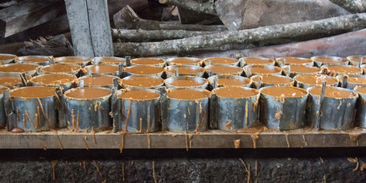 Pure Cane Sugar in Pacto