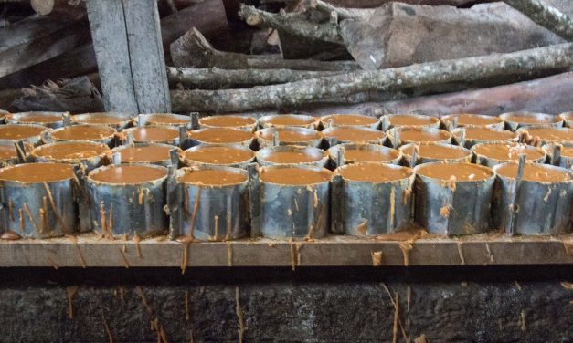 Pure Cane Sugar in Pacto