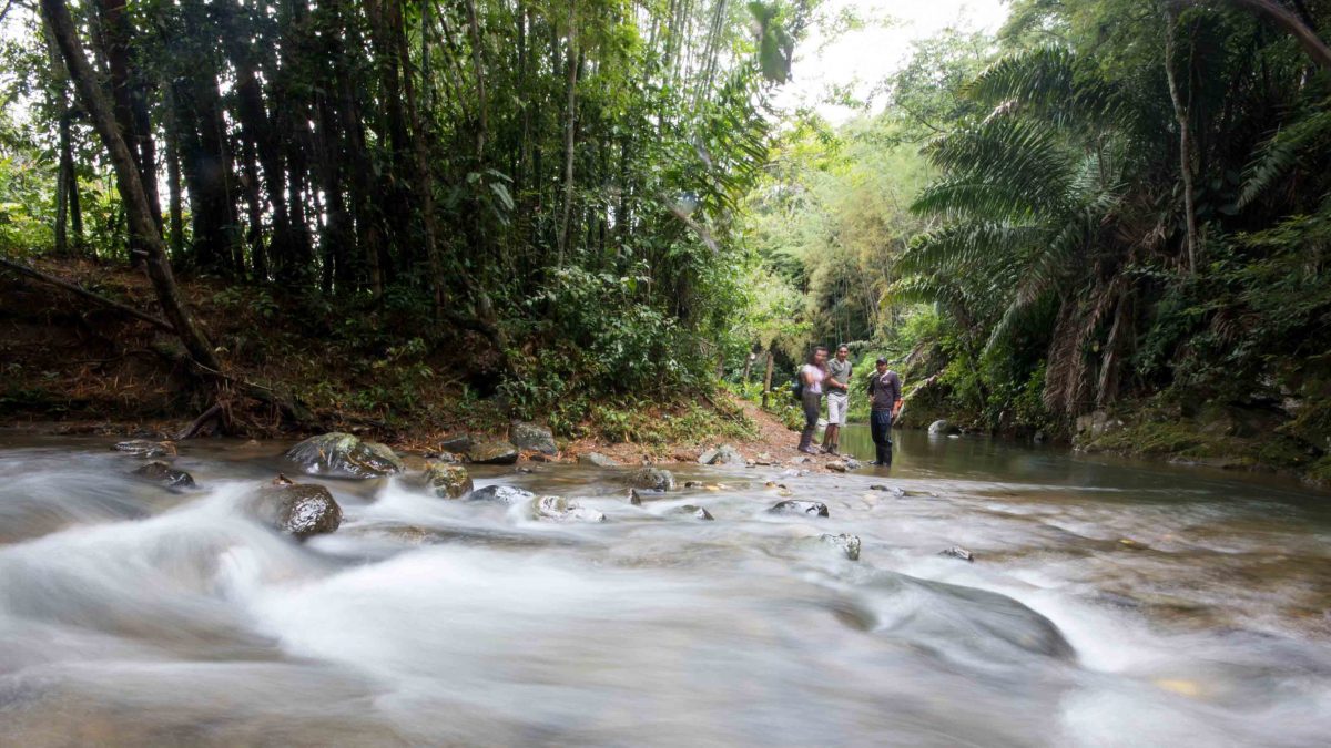 Ecuadorians Vote YES for the Environment!-edit