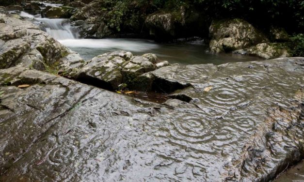 Petroglyphs along the Rio Chirapi, Pacto