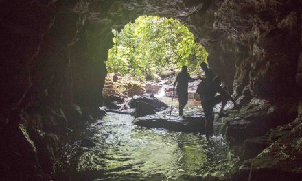 Las Cavernas y Cascadas Yanayacu
