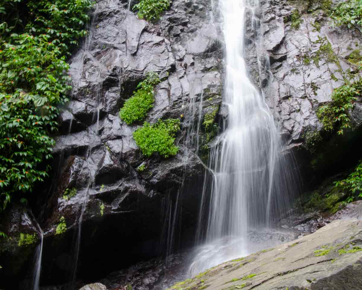 Cascade at the El Pahuma Orchid Reserve near Quito, Ecuador | @ Angela Drake Cascade at the El Pahuma Orchid Reserve near Quito, Ecuador | @ Angela Drake
