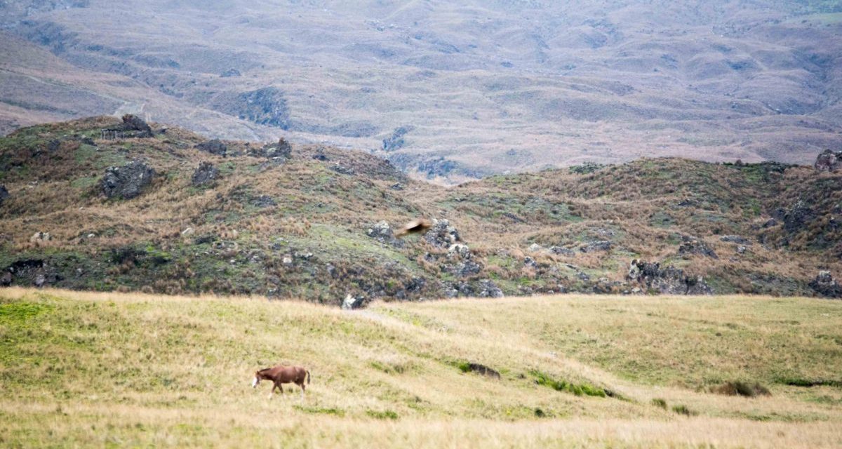 What To Expect On The Road To Laguna Mica