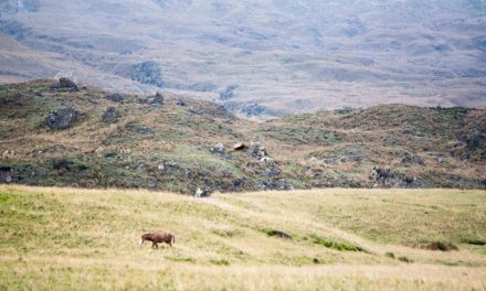 What To Expect On The Road To Laguna Mica