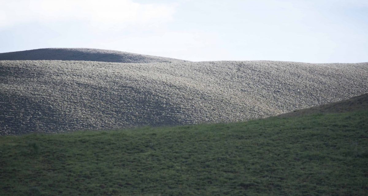 Hosteria Guaytara: Gateway To The High Paramo