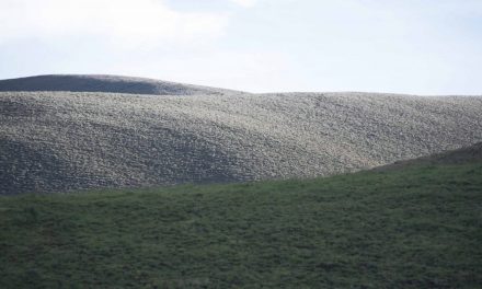 Hosteria Guaytara: Gateway To The High Paramo