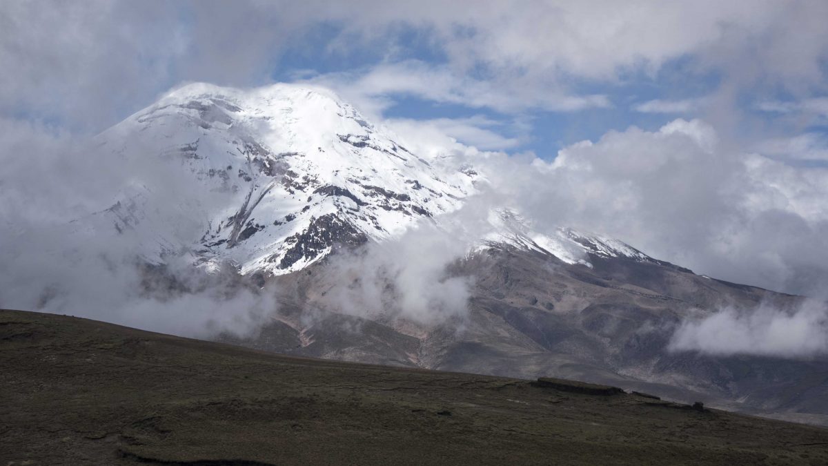 The Polylepis Trail, Chimborazo Wildlife Reserve