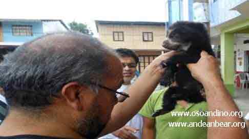 Veterinarian examines Pinocchio | Printed with permission from Armando Castellanos, the Andean Bear Foundation