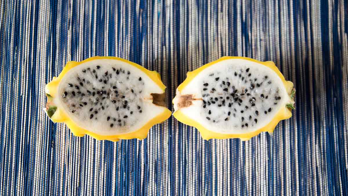 Pitahaya or Dragon Fruit | @Angela Drake