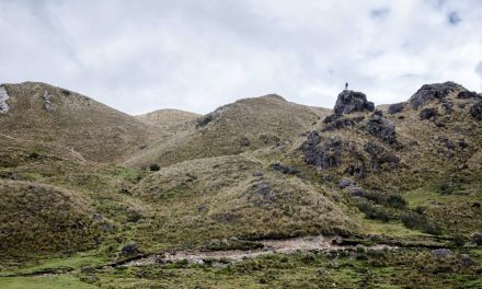 The Beauty of Cajas National Park