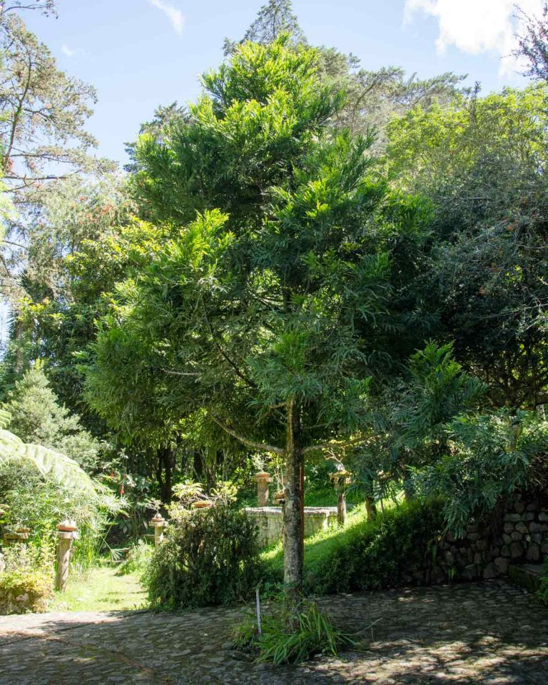 El Jardín Botánico de Loja | by Angie