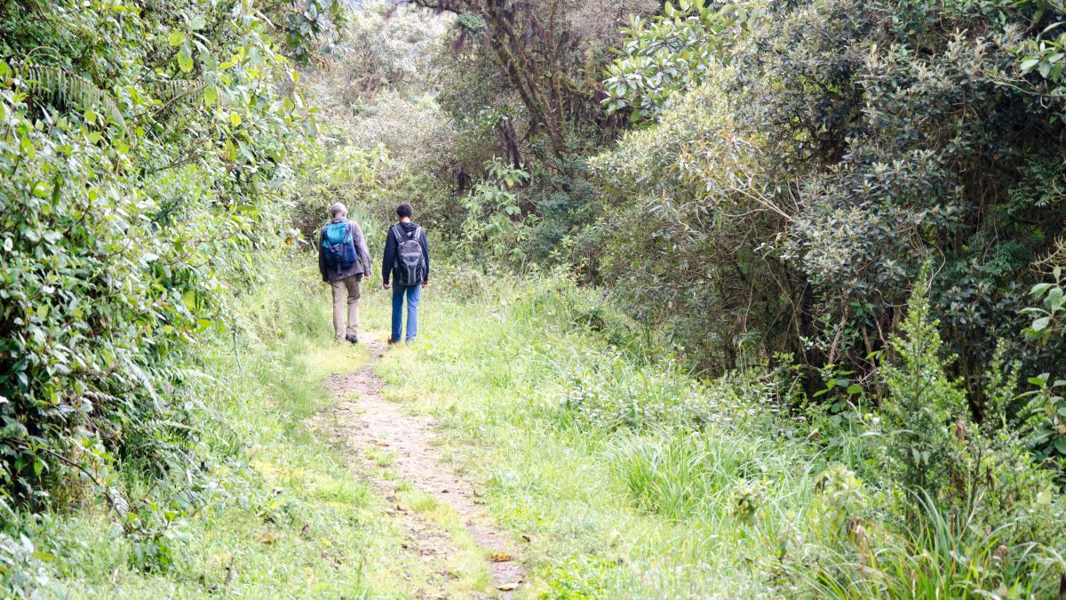 Contratación de un guía en Ecuador; Explorando la Reserva Yanacocha cerca de Quito, Ecuador | © Ángela Drake