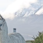 La lista de tareas esenciales previas al viaje de Ecuador