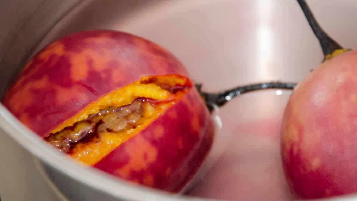 Tree Tomatoes, also called Tamarillo | © Angela Drake