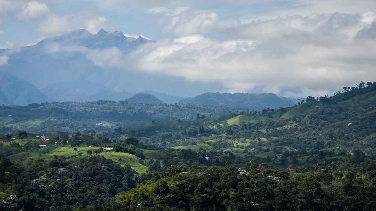 El volcán Pichincha visto desde la finca experimental de café Sol y Montaña en Gualea, Ecuador | ©Angela Drake El volcán Pichincha visto desde la finca experimental de café Sol y Montaña en Gualea, Ecuador | ©Angela Drake