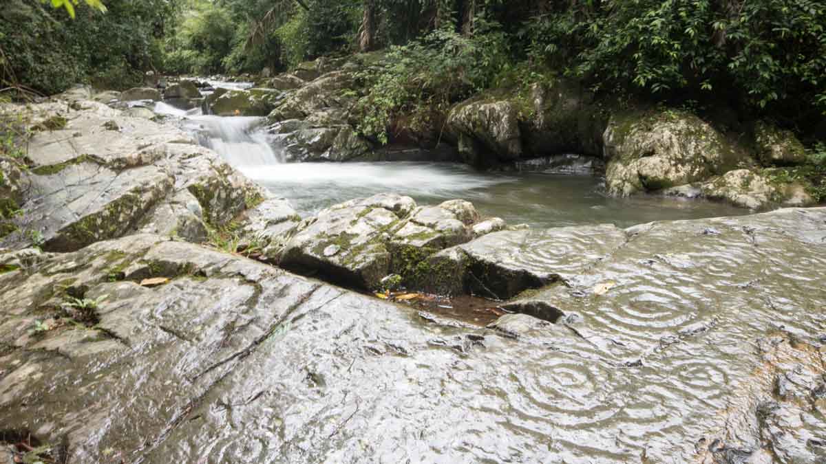 Petroglifos Yumbo a lo largo del Río Chirapi, Pacto | ©Angela Drake Petroglifos Yumbo a lo largo del Río Chirapi, Pacto | ©Angela Drake
