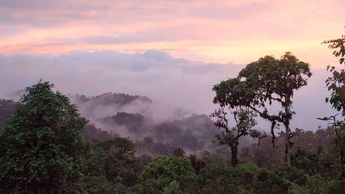 Atardecer desde el Refugio Angel Paz cerca de Mindo, Ecuador | ©Angela Drake Atardecer desde el Refugio Angel Paz cerca de Mindo, Ecuador | ©Angela Drake