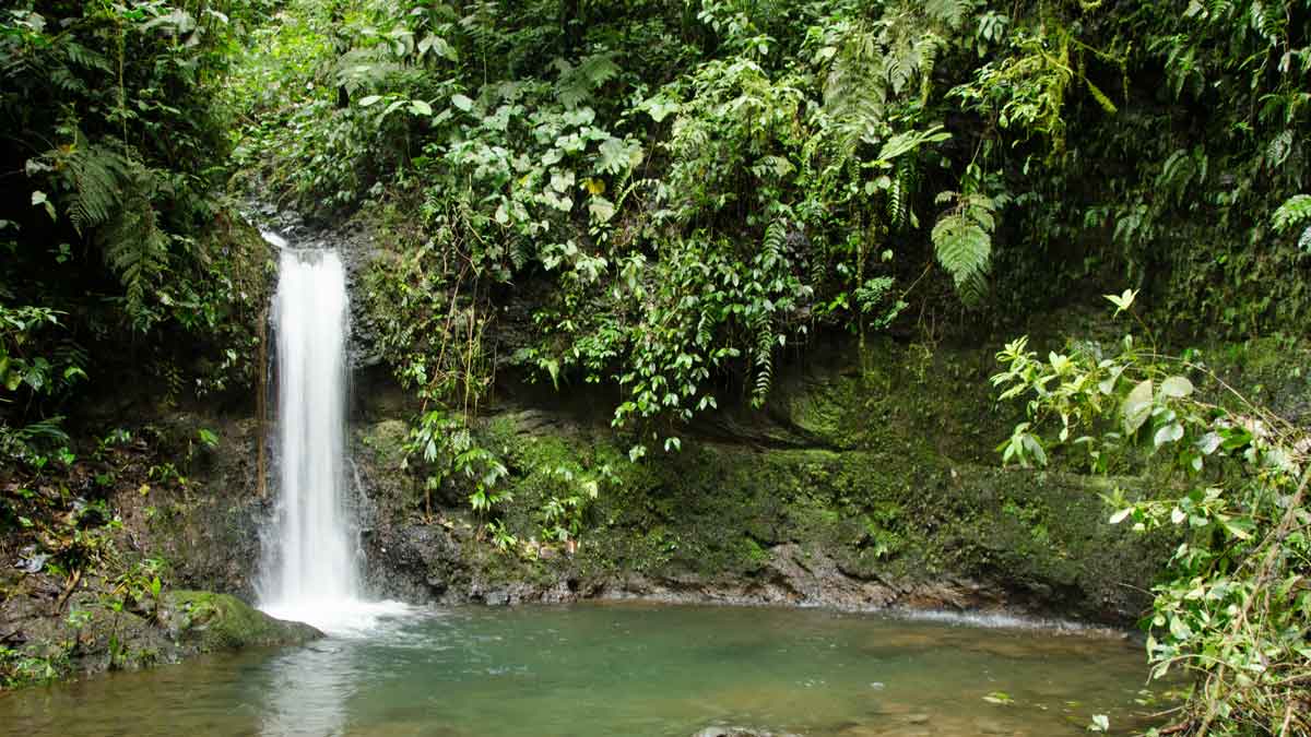 Una pequeña cascada y poza de la Reserva de Biosfera Chocó Andino, Ecuador | ©Angela Drake Una pequeña cascada y poza de la Reserva de Biosfera Chocó Andino, Ecuador | ©Angela Drake