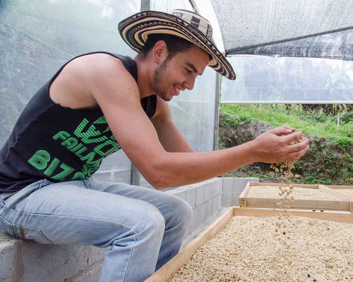 Caficultor trabajando en Gualea, Ecuador | ©Angela Drake Caficultor trabajando en Gualea, Ecuador | ©Angela Drake