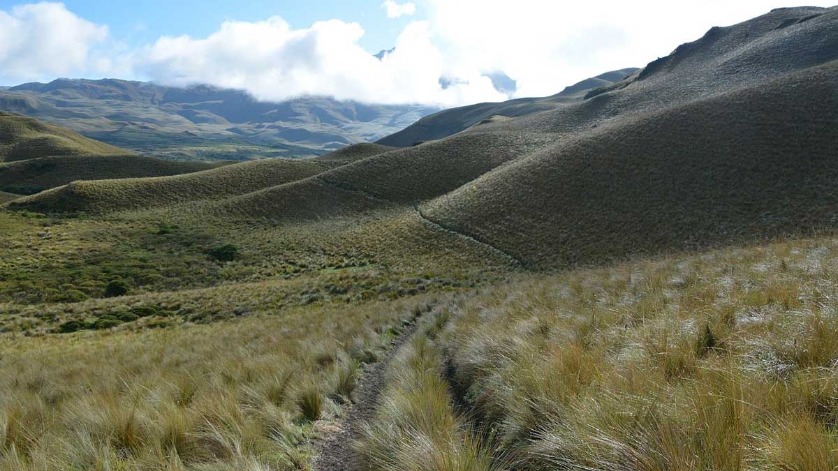 Caminos rurales, Piñán, Ecuador | crédito de la foto: David Sasaki Caminos rurales, Piñán, Ecuador | crédito de la foto: David Sasaki