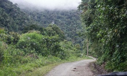 Qué esperar a lo largo de la ruta de los colibríes de Ecuador