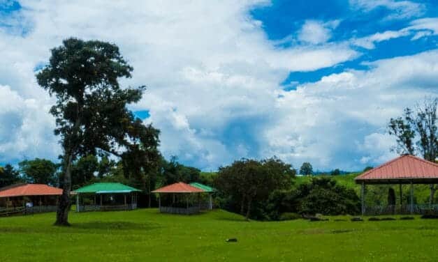Our First Look At Ancient Stone Statues in Isnos, Colombia
